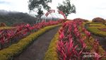 Ini Nih Taman Bunga yang Lagi Hits di Jambi