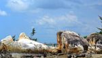 Ini Parai Tenggiri, Pantai Andalan Pulau Bangka