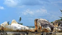 Batuan granit putih menghiasi Pantai Parai Tenggiri