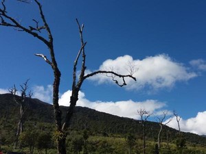 Ini penampakan Sulsel dari Atas Awan