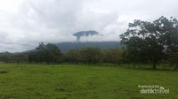 Penamaan Baluran karena dekat dengan Gunung Baluran