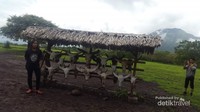 Ikon Savana Bekol terdapat tengkorak banteng, rusa dan kerbau