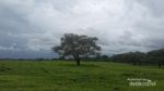 Ini Protokol Baru Berkunjung ke Taman Nasional Baluran