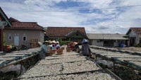proses pembuatan ikan asin