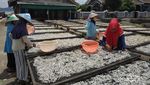 Ini Pulau Pasaran, Tampak Kumuh Tapi Inilah Pusat Ikan Teri Indonesia