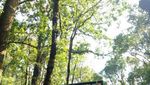 Ini Rasanya Bermalam di Kandang Badak