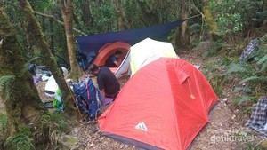 Ini Rasanya Bermalam di Kandang Badak