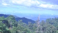 Pemandangan dari atas SkyWay Cable Cars