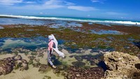 Pantai sepanjang saat air laut sedang surut