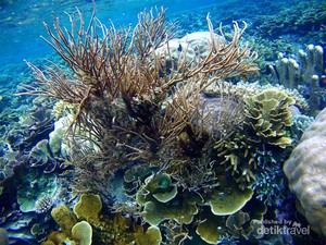 Ini Rekomendasi Perjalanan ke Raja Ampat, Surga Kecil di Indonesia