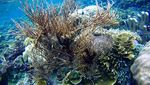 Ini Rekomendasi Perjalanan ke Raja Ampat, Surga Kecil di Indonesia