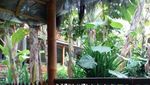 Ini Rekomendasi Tempat Ngopi yang Asyik & Sejuk di Yogya