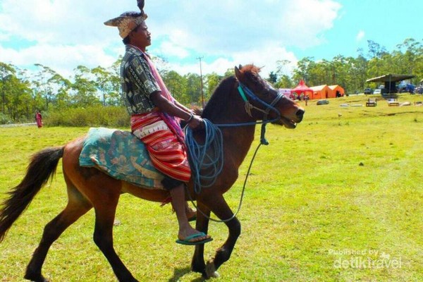Salah seorang tua adat sedang menunggang kuda untuk ikut memeriahkan Pesta Rakyat Fesat Tabenat Tauf