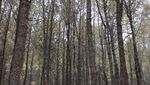 Ini Salah Satu Air Terjun Terbaik di Malang Raya