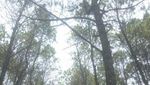Ini Salah Satu Air Terjun Terbaik di Malang Raya