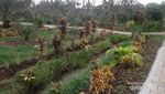Ini Satu-satunya Agrowisata di Magetan