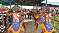 Mansorandak, salah satu tari yang sering dipentaskan untuk menyambut tamu-tamu yang berkunjung ke Raja Ampat
