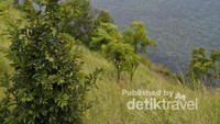 Relatif sepi dari pengunjung