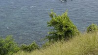 Spot snorkling dengan pemandangan bawah laut yang indah