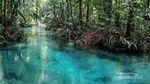 Ini Sungai Berwarna Biru di Raja Ampat