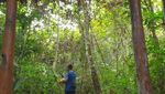Ini Sungai Berwarna Biru di Raja Ampat