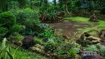 Ini Taman Batu Organik yang Unik