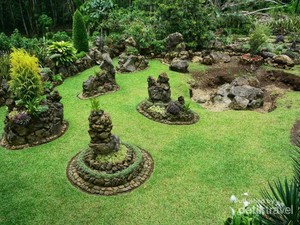 Ini Taman Batu Organik yang Unik