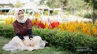 Indahnya hamparan bunga Celosia bewarna-warni