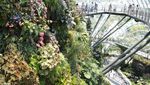 Ini Taman Kaca Terindah di Singapura
