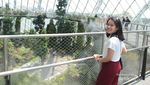 Ini Taman Kaca Terindah di Singapura