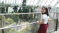 Menikmati Sejuknya Udara di Cloud Forest