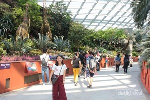 Ini Taman Kaca Terindah di Singapura