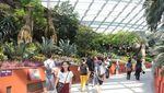 Ini Taman Kaca Terindah di Singapura