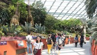 Flower Dome Yang Sangat Megah