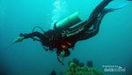 Ini Tempat Backpackeran dan Diving di Bali