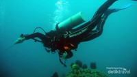 Diving di Pemuteran Bali