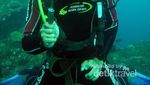 Ini Tempat Backpackeran dan Diving di Bali