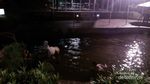 Ini Tempat Berendam Air Panas Paling Enak di Lembang