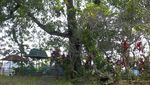 Ini Tempat Bertapa Pendiri Kota Semarang di Vihara Gunung Kalong