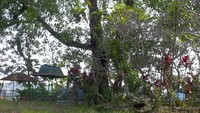 Jejak Petilasan