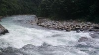 Arus sungai di Bukit Lawang