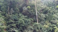 Sejuknya alam di sini