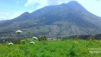Gunung Merapi menyapa dari Bukit Gancik