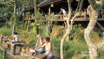 Ini Tempat Rekomendasi Agrowisata Kopi di Bali