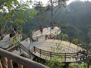 Ini Tempat Rekomendasi Agrowisata Kopi di Bali