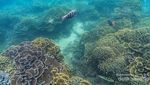 Ini Tempat Snorkeling yang Asyik di Malang