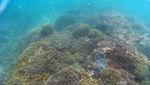 Ini Tempat Snorkeling yang Asyik di Malang