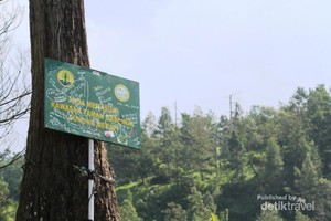 Ini Tempat Terbaik Melihat Puncak Merapi di Yogyakarta