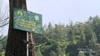 Deles Indah Kawasan Taman Nasional Gunung Merapi