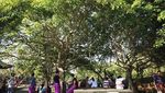 Ini Tempat Terbaik untuk Melihat Tari Kecak di Bali
